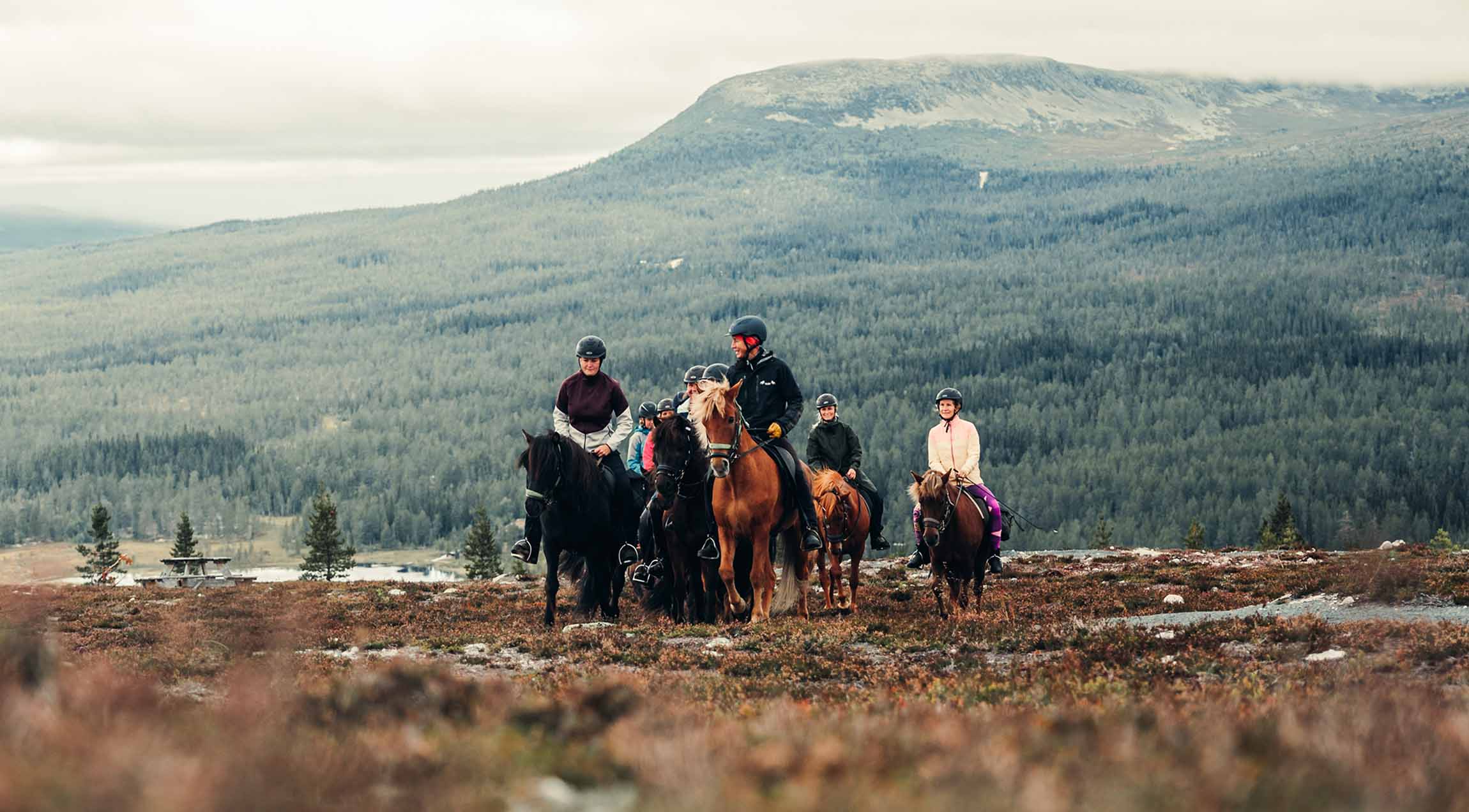 Rida I Fjällen - Hästridning I Dalarna | Idre Fjäll