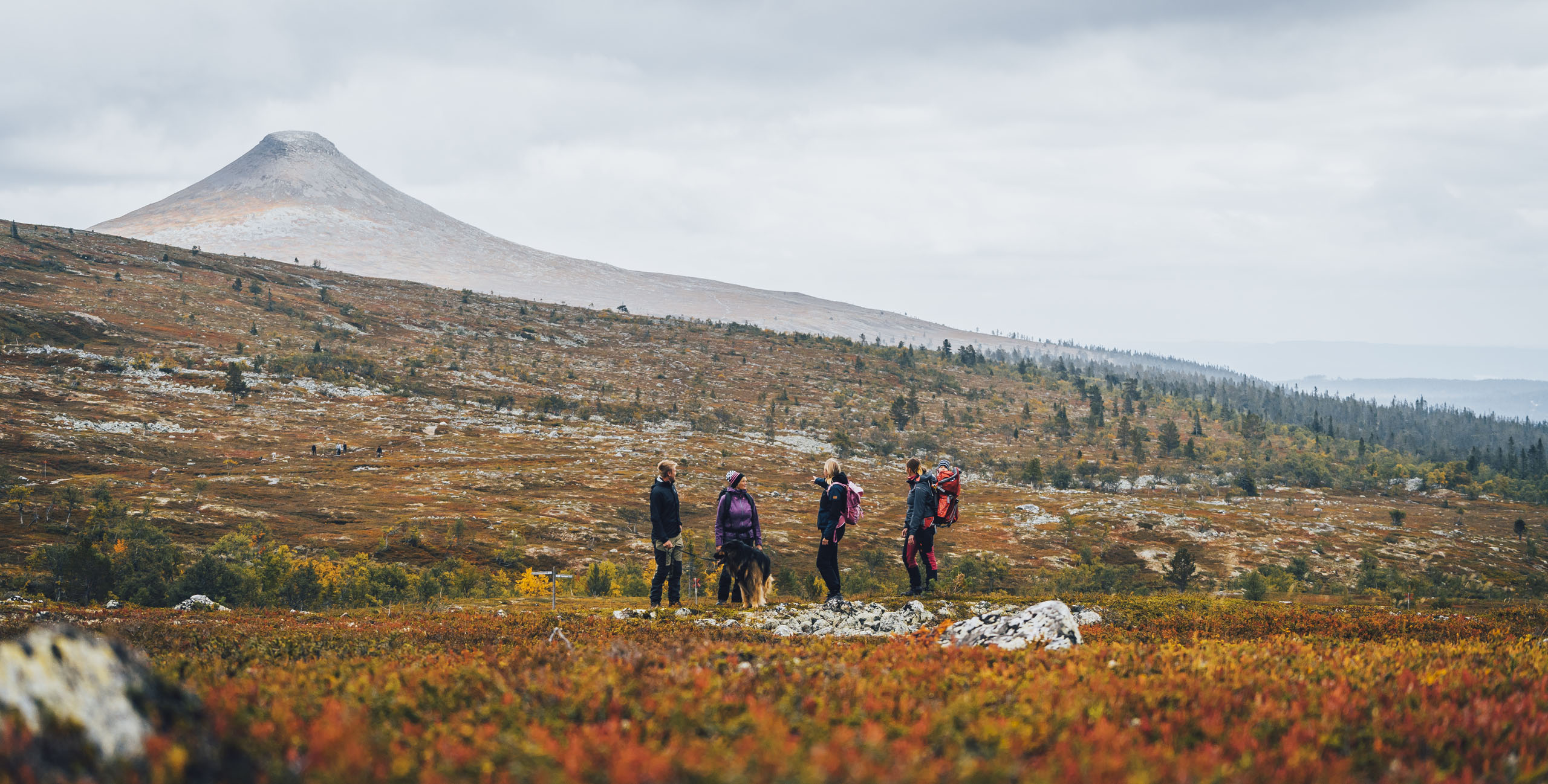 Discover the Magic of Autumn at Idre Fjall Idre Fjall